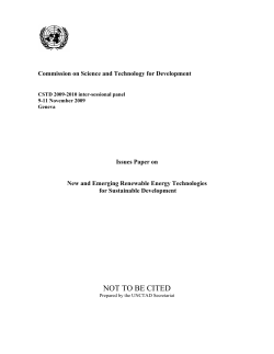 Issues Paper on New and Emerging Renewable Energy