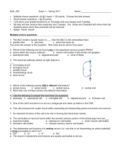 Multiple-choice questions