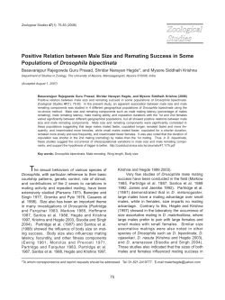 Positive Relation between Male Size and Remating Success in
