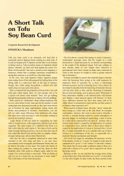 A Short Talk on Tofu Soy Bean Curd