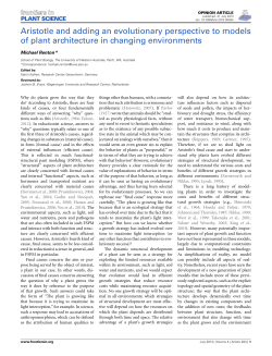 Aristotle and adding an evolutionary perspective to models of plant
