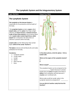 The Lymphatic System and the Integumentary System The