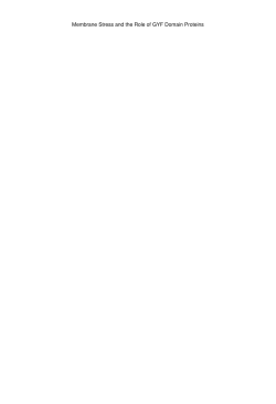 Membrane Stress and the Role of GYF Domain Proteins