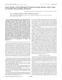 Sweet Tooth, a Novel Receptor Protein-tyrosine