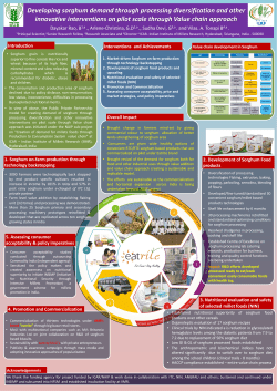 Template to create a scientific poster