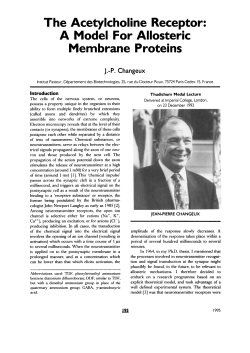 The Acetylcholine Receptor - Biochemical Society Transactions