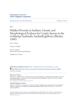 Hidden Diversity in Sardines: Genetic and
