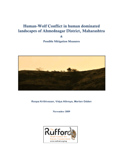 Human-Wolf Conflict in human dominated landscapes of
