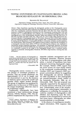 TESTING HYPOTHESES OF CHAETOGNATH ORIGINS: LONG