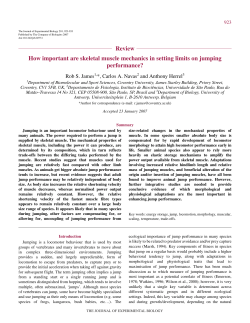 Review How important are skeletal muscle mechanics in setting