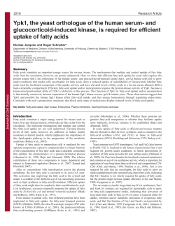 Ypk1, the yeast orthologue of the human serum