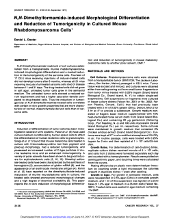 A/,A/-Dimethylformamide-induced Morphological
