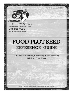 FOOD PLOT SEED