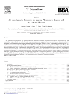 A&beta; ion channels. Prospects for treating Alzheimer`s disease with A&beta;
