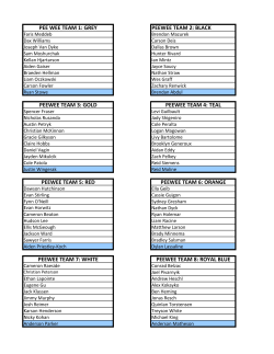 PEE WEE TEAM 1: GREY PEEWEE TEAM 2: BLACK PEEWEE