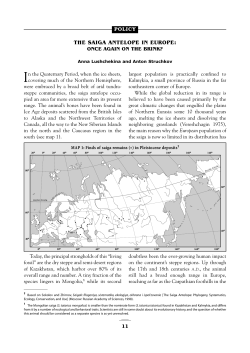 THE SAIGA ANTELOPE IN EUROPE: