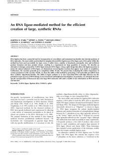 An RNA ligase-mediated method for the efficient creation of