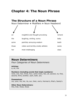 Chapter 4: The Noun Phrase