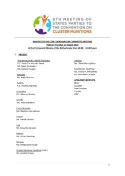 Minutes of Meeting of the Coordination Committee