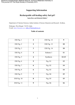 Supporting Information Rechargeable self