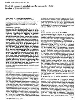 Mr 46 000 mannose 6-phosphate specific receptor: its role in