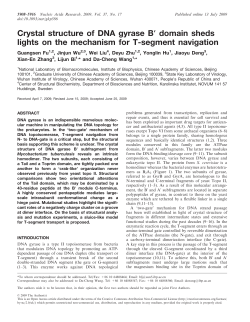 Crystal structure of DNA gyrase B` domain sheds lights on the