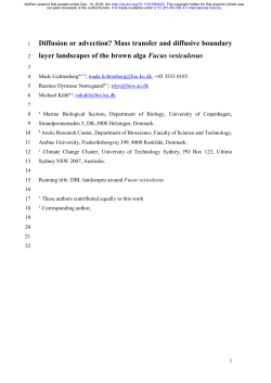 Diffusion or advection? Mass transfer and diffusive