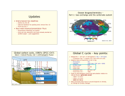 Ocean biogeochemistry: C cycle