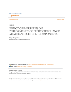 effect of impurities on performance of proton exchange