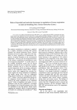 Role of thyroidal and testicular hormones in regulation of tissue