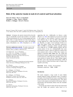 Role of the anterior insula in task-level control and focal attention