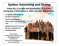 Spiders Swimming and Diving!