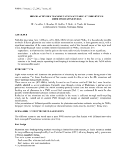 MINOR ACTINIDES TRANSMUTATION SCENARIO STUDIES IN