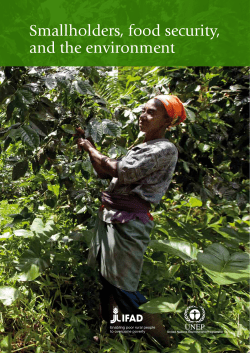 Smallholders, food security, and the environment