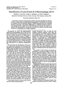 Identification of Lysis Protein E of Bacteriophage 4X174