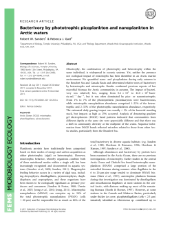 Bacterivory by phototrophic picoplankton and nanoplankton in Arctic