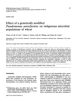 Effect of a genetically modified Pseudomonas aureofaciens on