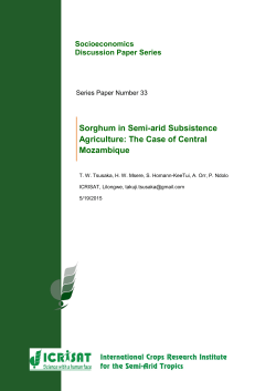 Sorghum in Semi-arid Subsistence Agriculture