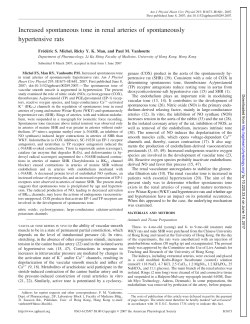 Increased spontaneous tone in renal arteries of spontaneously