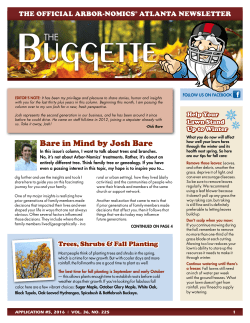 The Buggette (Sep / Oct 2016) - Arbor