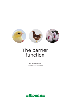 The barrier function