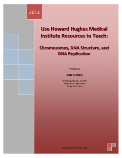 HHMI DNA Structure and Replication Guide