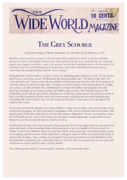 Rook Carnegie - The Grey Scourge - WWM 1910