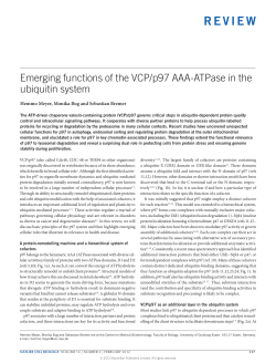 Emerging functions of the VCP/p97 AAA