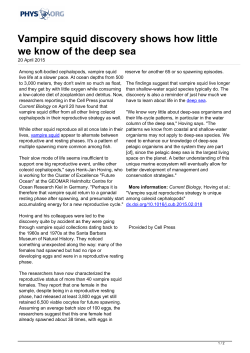 Vampire squid discovery shows how little we know of the