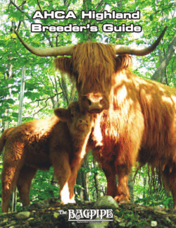The Bagpipe - American Highland Cattle Association