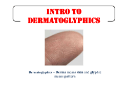 Intro to Dermatoglyphics