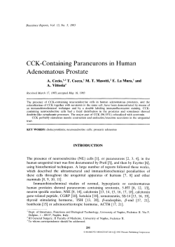 CCK-Containing paraneurons in human adenomatous prostate
