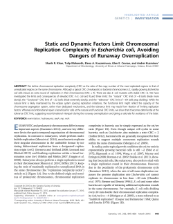 Static and dynamic factors limit chromosomal replication
