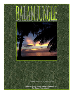 Making up almost 2% of the land area of Belize The Balam Jungle